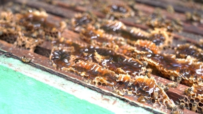 Foto: Reprodução/Prefeitura de Lucas do Rio Verde - MT