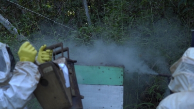 Foto: Reprodução/Prefeitura de Lucas do Rio Verde - MT