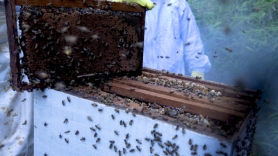 Foto: Reprodução/Prefeitura de Lucas do Rio Verde - MT
