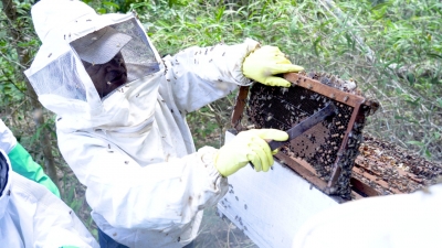 Foto: Reprodução/Prefeitura de Lucas do Rio Verde - MT