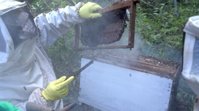 Foto: Reprodução/Prefeitura de Lucas do Rio Verde - MT