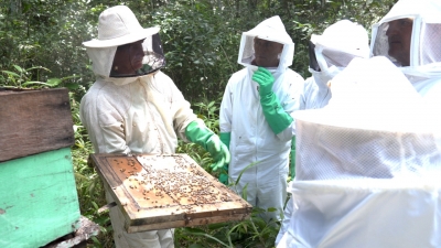 Foto: Reprodução/Prefeitura de Lucas do Rio Verde - MT