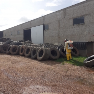 Foto: Reprodução/Prefeitura de Lucas do Rio Verde - MT