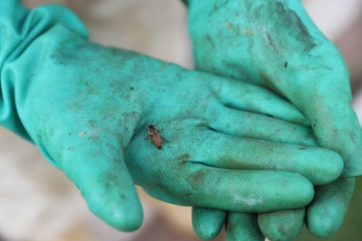 Foto: Reprodução/Prefeitura de Lucas do Rio Verde - MT