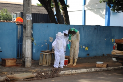 Foto: Reprodução/Prefeitura de Lucas do Rio Verde - MT