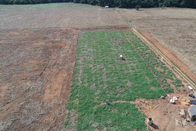 Foto: Reprodução/Prefeitura de Lucas do Rio Verde - MT