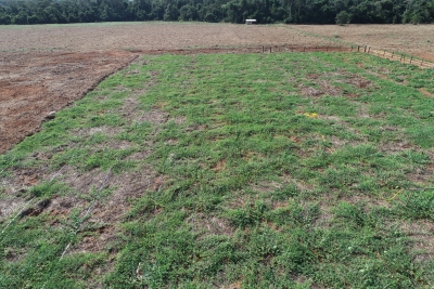 Foto: Reprodução/Prefeitura de Lucas do Rio Verde - MT