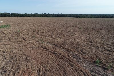 Foto: Reprodução/Prefeitura de Lucas do Rio Verde - MT