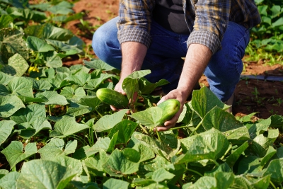 Foto: Reprodução/Prefeitura de Lucas do Rio Verde - MT