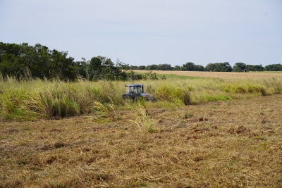 Foto: Reprodução/Prefeitura de Lucas do Rio Verde - MT