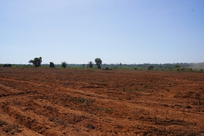 Foto: Reprodução/Prefeitura de Lucas do Rio Verde - MT