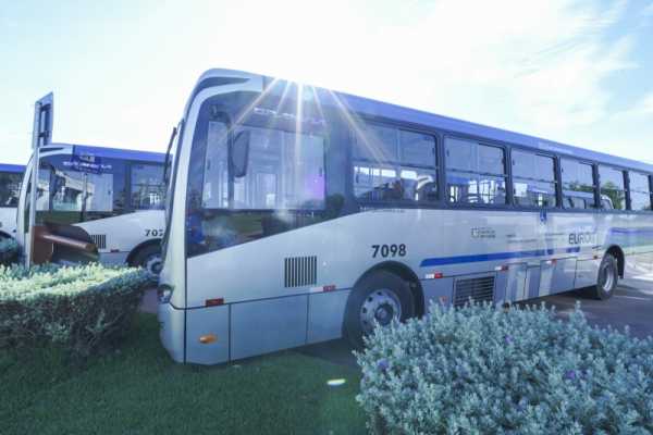 Lucas do Rio Verde oferece transporte coletivo gratuito para votação em MT