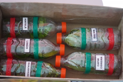 Foto: Reprodução/Prefeitura de Lucas do Rio Verde - MT