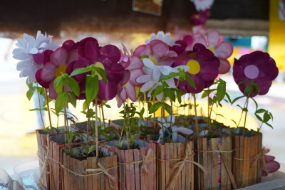 Foto: Reprodução/Prefeitura de Lucas do Rio Verde - MT