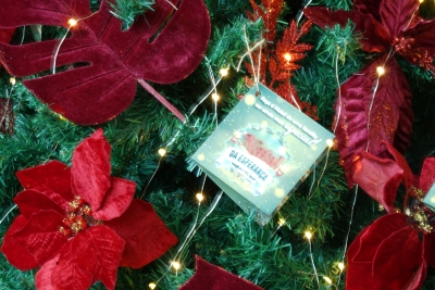 Foto: Reprodução/Prefeitura de Lucas do Rio Verde - MT