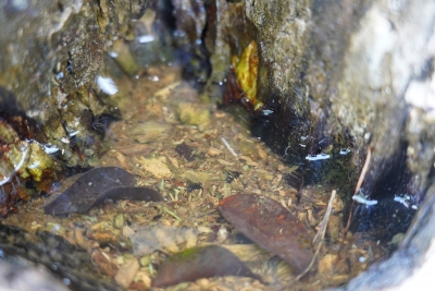 Foto: Reprodução/Prefeitura de Lucas do Rio Verde - MT