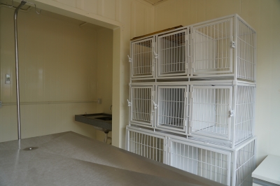 Foto: Reprodução/Prefeitura de Lucas do Rio Verde - MT