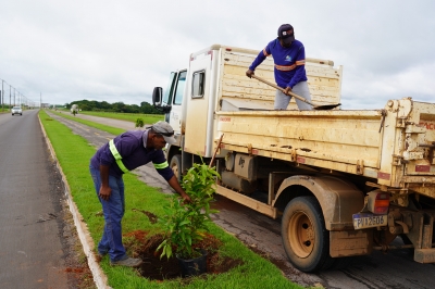 Foto: Reprodu&ccedil;&atilde;o/Prefeitura de Lucas do Rio Verde - MT