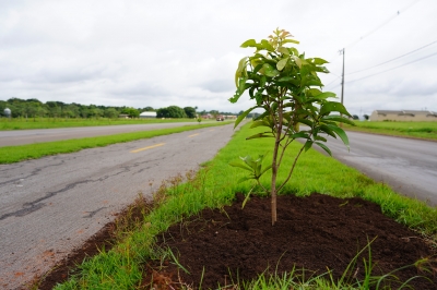 Foto: Reprodu&ccedil;&atilde;o/Prefeitura de Lucas do Rio Verde - MT
