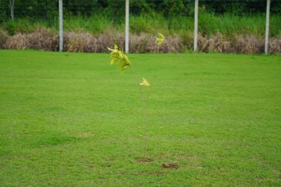 Foto: Reprodu&ccedil;&atilde;o/Prefeitura de Lucas do Rio Verde - MT