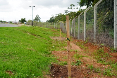 Foto: Reprodu&ccedil;&atilde;o/Prefeitura de Lucas do Rio Verde - MT