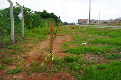 Foto: Reprodu&ccedil;&atilde;o/Prefeitura de Lucas do Rio Verde - MT