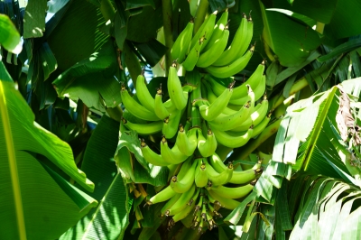 Foto: Reprodução/Prefeitura de Lucas do Rio Verde - MT