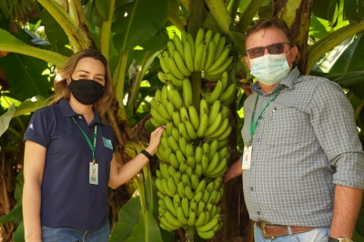 Foto: Reprodução/Prefeitura de Lucas do Rio Verde - MT