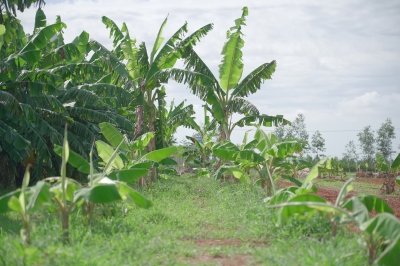 Foto: Reprodução/Prefeitura de Lucas do Rio Verde - MT