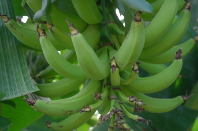 Foto: Reprodução/Prefeitura de Lucas do Rio Verde - MT