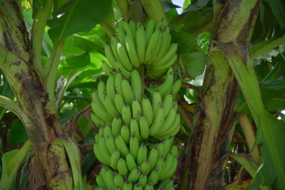 Foto: Reprodução/Prefeitura de Lucas do Rio Verde - MT