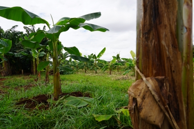 Foto: Reprodução/Prefeitura de Lucas do Rio Verde - MT