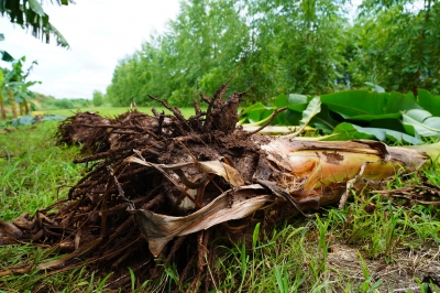 Foto: Reprodução/Prefeitura de Lucas do Rio Verde - MT