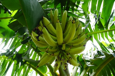 Foto: Reprodução/Prefeitura de Lucas do Rio Verde - MT