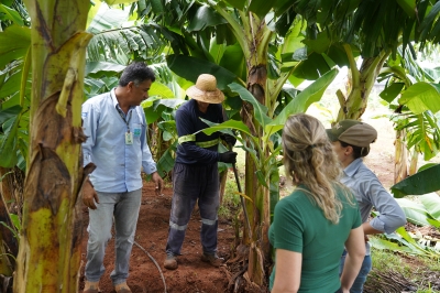 Foto: Reprodução/Prefeitura de Lucas do Rio Verde - MT