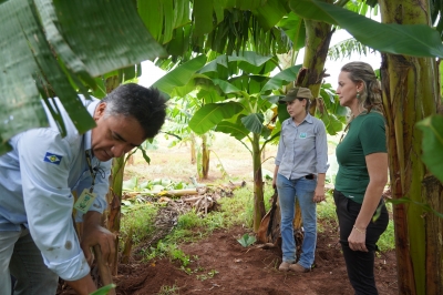 Foto: Reprodução/Prefeitura de Lucas do Rio Verde - MT