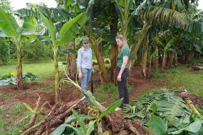 Foto: Reprodução/Prefeitura de Lucas do Rio Verde - MT