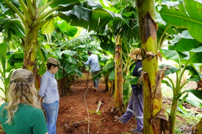 Foto: Reprodução/Prefeitura de Lucas do Rio Verde - MT