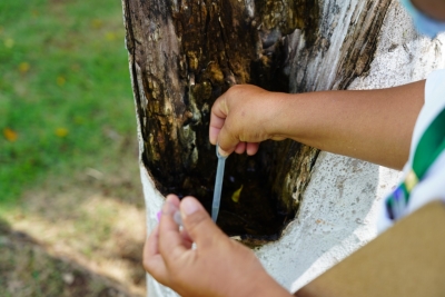 Foto: Reprodução/Prefeitura de Lucas do Rio Verde - MT