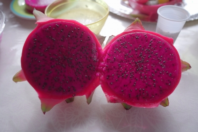 Foto: Reprodução/Prefeitura de Lucas do Rio Verde - MT