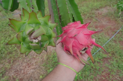 Foto: Reprodução/Prefeitura de Lucas do Rio Verde - MT