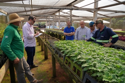 Foto: Reprodução/Prefeitura de Lucas do Rio Verde - MT