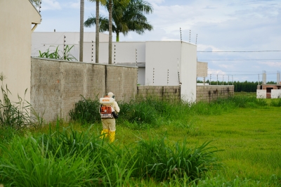 Foto: Reprodução/Prefeitura de Lucas do Rio Verde - MT